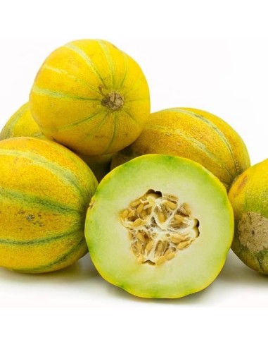 Melon Ogen ( Melon Haogen)