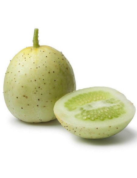 Concombre Crystal Apple