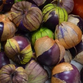 Tomatillo Violet (Physalis ixocarpa)