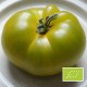 Tomate Dorothy Green BIO (tomate ancienne)