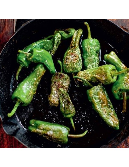 Piment Padron (piment à tapas)