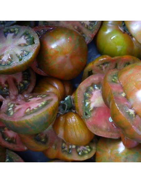 Graines Tomate ancienne 'Black Zebra'