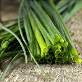 Graines Ciboulette commune (à fleurs blanches)