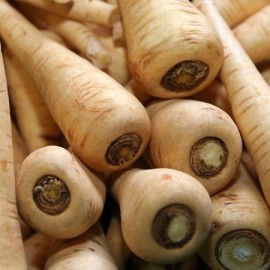 Graines Panais 'Hollow crown'