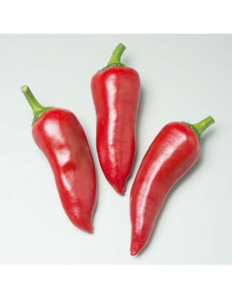 Piment Gorria (Piment d'Espelette)