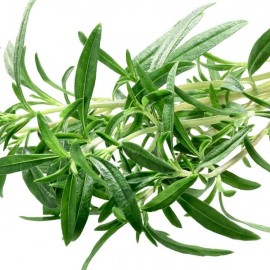 Graines Sarriette commune