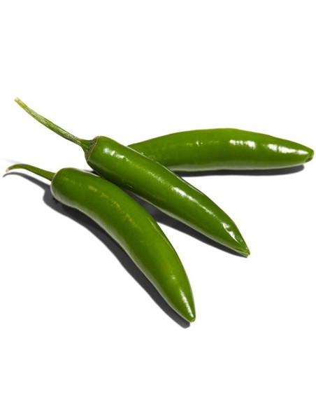 Graines Piment 'Serrano" (Piment fort)