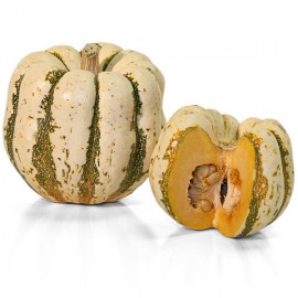 Graines Courge 'Sweet Dumpling' (Patidou)