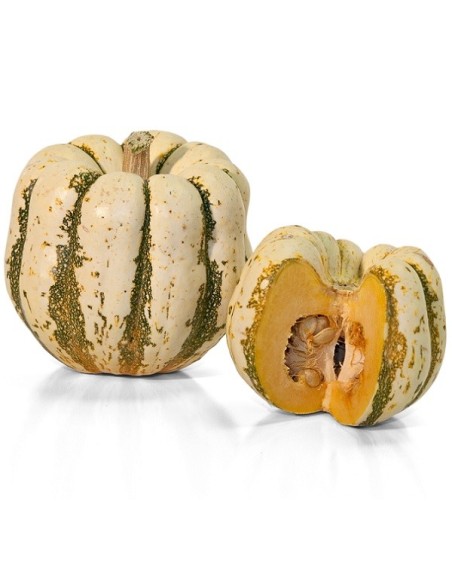 Graines Courge 'Sweet Dumpling' (Patidou)