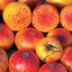 Graines Tomate ancienne 'Hillbilly' seeds