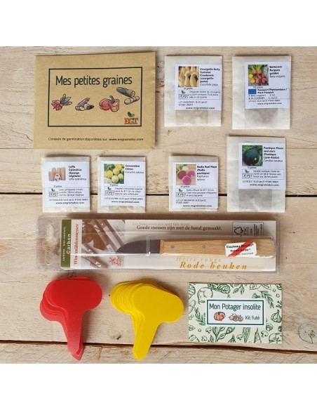 Kit futé  - Mon Potager insolite