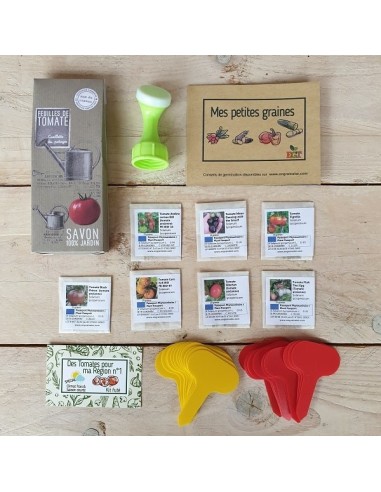 Kit futé  - Des Tomates pour Ma Région n°1 - Climat Frais & Saison Courte