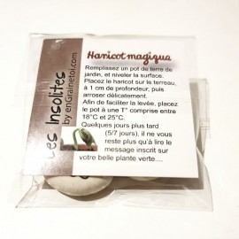 Graines Haricot LA FIESTA pour faire passer vos messages