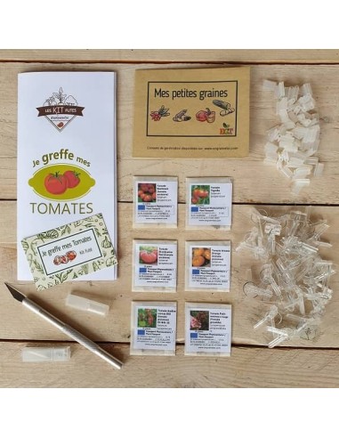 Kit futé  - Je greffe mes tomates