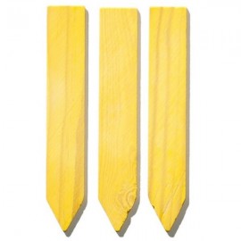 Kit futé - Croqueur de Carottes