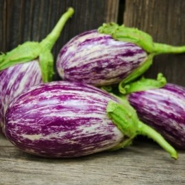 Graines Aubergine Listada de Gandia