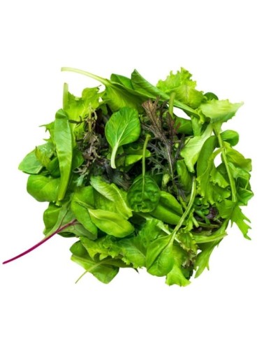 Mesclun doux sans roquette