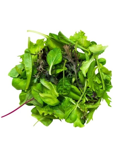 Mesclun doux sans roquette