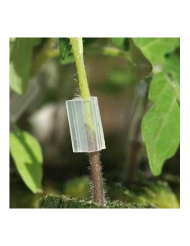 Clip de greffage 2,0 mm