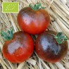 Tomate Blue Streak BIO