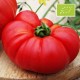 Tomate Ingegnoli Gigante Liscio BIO (tomate ancienne)