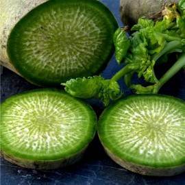 Radis Green Luobo (Radis chinois)