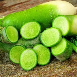 Radis Green Luobo (Radis chinois)