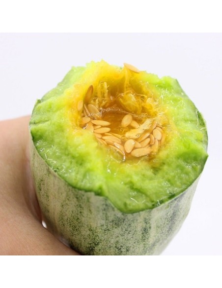 Melon Croissant Honey (melon asiatique)