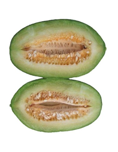 Melon Carosello Scopatisso o leccese