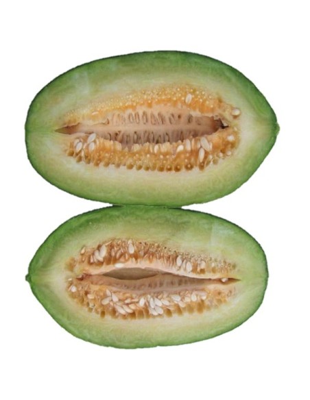 Melon Carosello Scopatisso o leccese