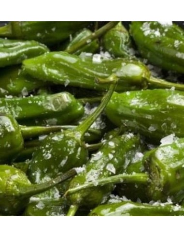 Poivron Friariello Nocera (à frire)