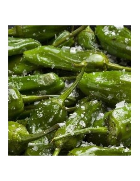 Poivron Friariello Nocera (à frire)