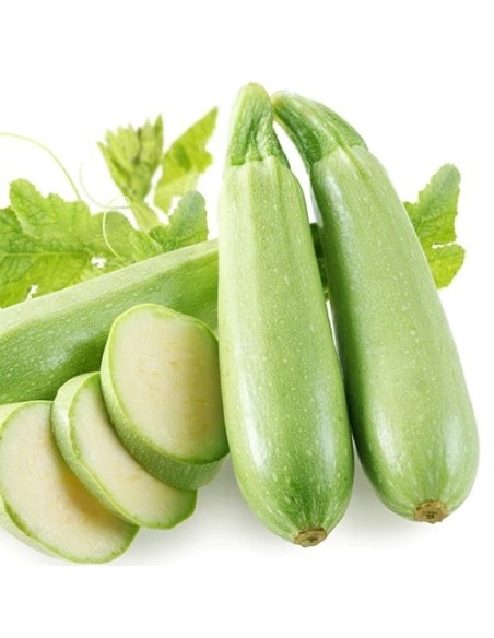 Courgette Genovese