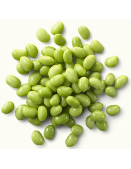 Soja potager Edamame DAME HANAE