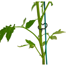 Clip en plastique pour tuteur Ø25mm