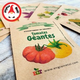 Assortiment de Noël - Tomates Géantes (6 variétés de graines)