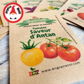 Assortiment de Noël - Tomate Saveur d''Antan (6 variétés de graines)