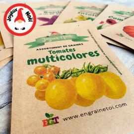 Assortiment de Noël - Tomates multicolores (6 variétés de graines)