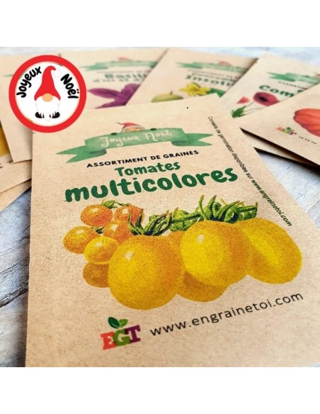 Assortiment de Noël - Tomates multicolores (6 variétés de graines)