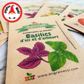 Assortiment de Noël - Basilics d'ici et d'ailleurs (5 variétés de graines)