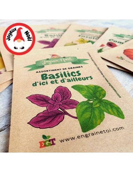 Assortiment de Noël - Basilics d'ici et d'ailleurs (5 variétés de graines)