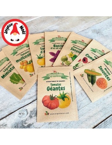 Assortiment de Noël - Basilics d'ici et d'ailleurs (5 variétés de graines)