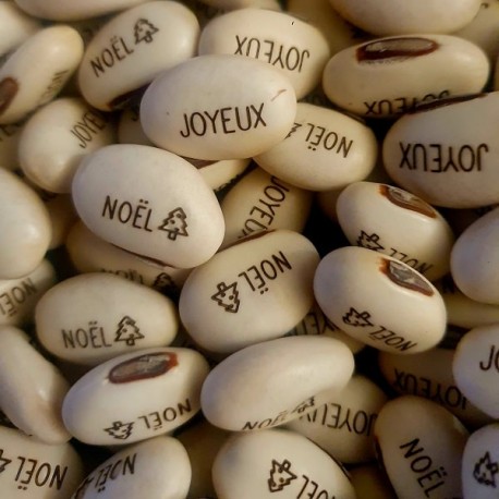 Graines Haricot Magique 'JOYEUX NOËL' pour faire passer votre message