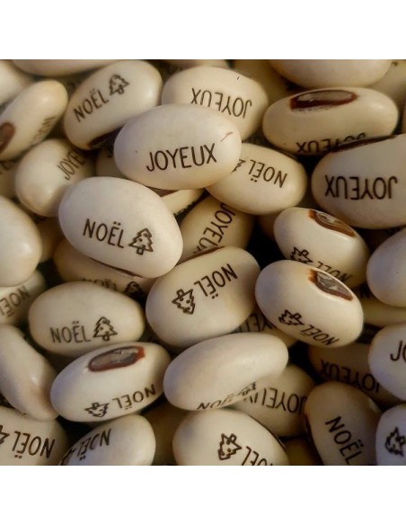 Graines Haricot Magique 'JOYEUX NOËL' pour faire passer votre message