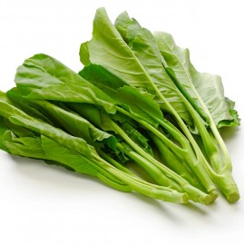 Brocoli chinois Kailaan