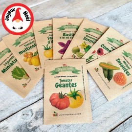 Assortiment de Noël - Tomate Géantes (6 variétés de graines)