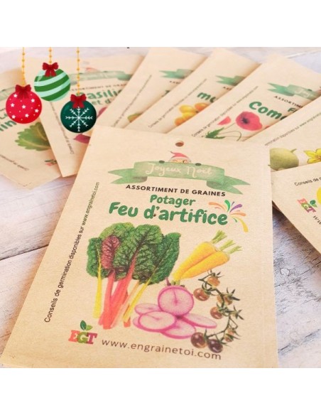 Assortiment de Noël - Tomate Géantes (6 variétés de graines)