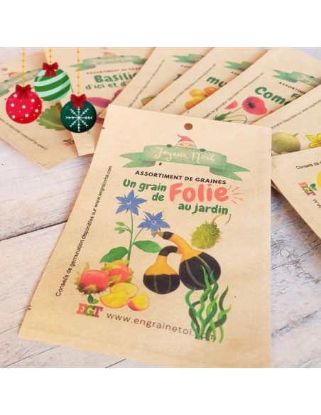 Assortiment de Noël - Tomate Géantes (6 variétés de graines)