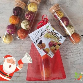 Boule de fleurs INFUSION