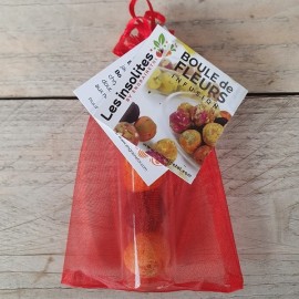 Boule de fleurs INFUSION